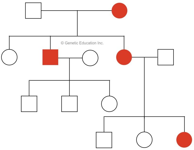 The image is the inheritance pattern of mitochondrial DNA from the maternal side.