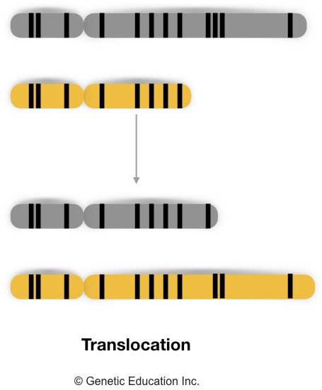 Different type of genetic mutations