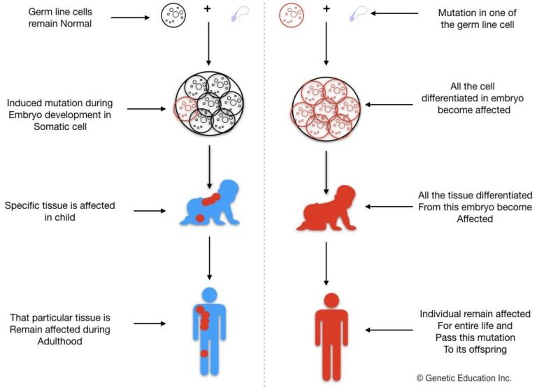 what mutation causes SCIDS