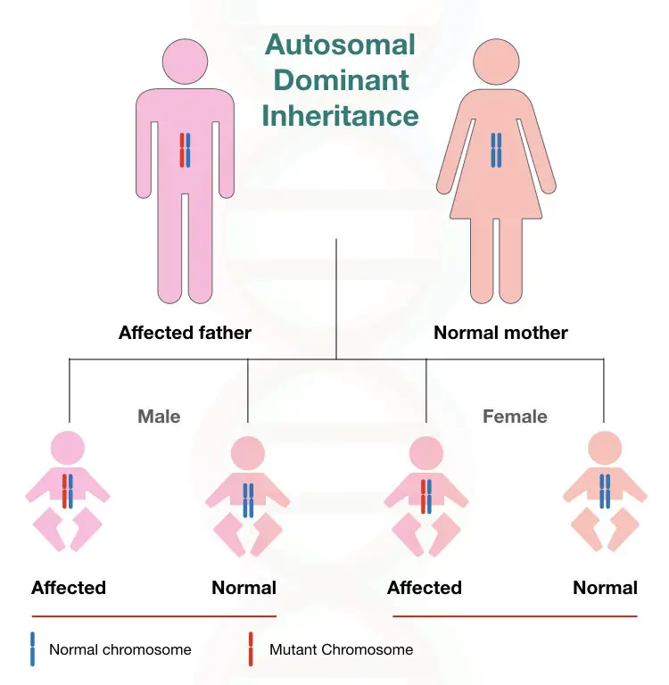 The inheritance pattern of autosomal dominant inheritance. 