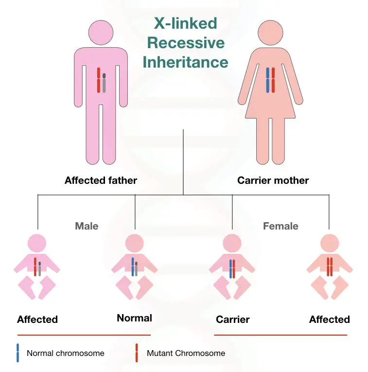 case study on genetic inheritance