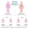 Different Types of Genetic Inheritance Patterns