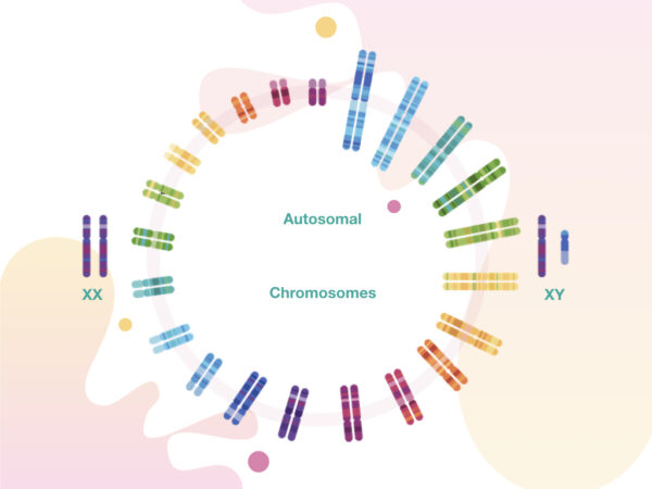 Different Types of Genetic Inheritance Patterns