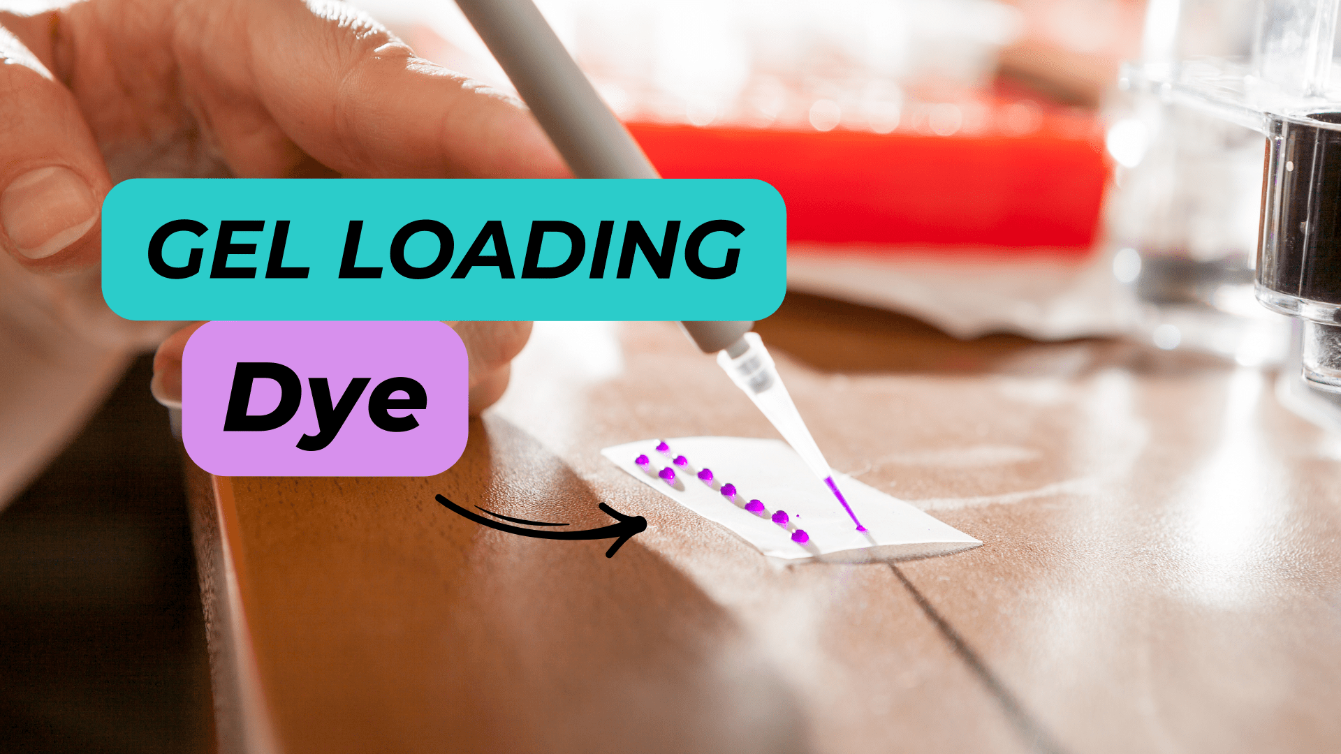 DNA gel loading dye Bromophenol Blue and Xylene Cyanol