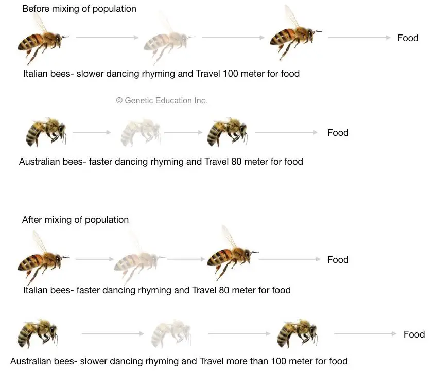 Behavioural Genetics