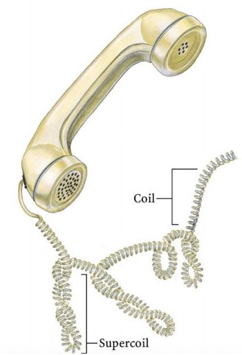 Linking number: A Topological property of DNA 