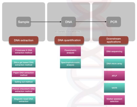 Different Types Of DNA Extraction Methods