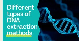 10 Different Types Of DNA Extraction Methods (Updated)