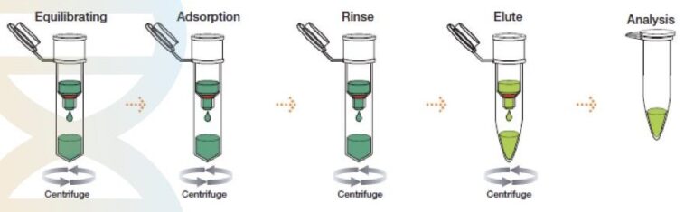 Different Methods Of Dna Purification