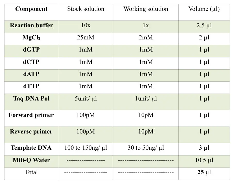 The polymerase chain reaction