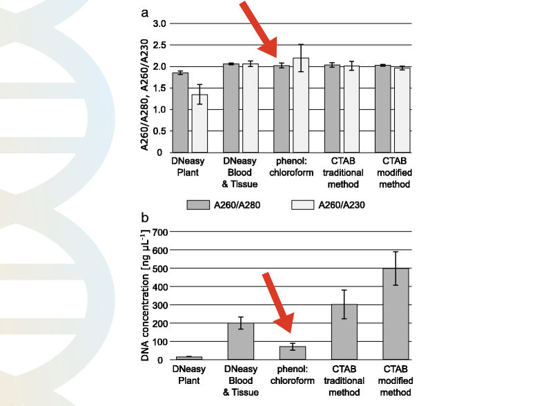 Phenol chloroform DNA extraction: Basics, preparation of chemicals and protocol 