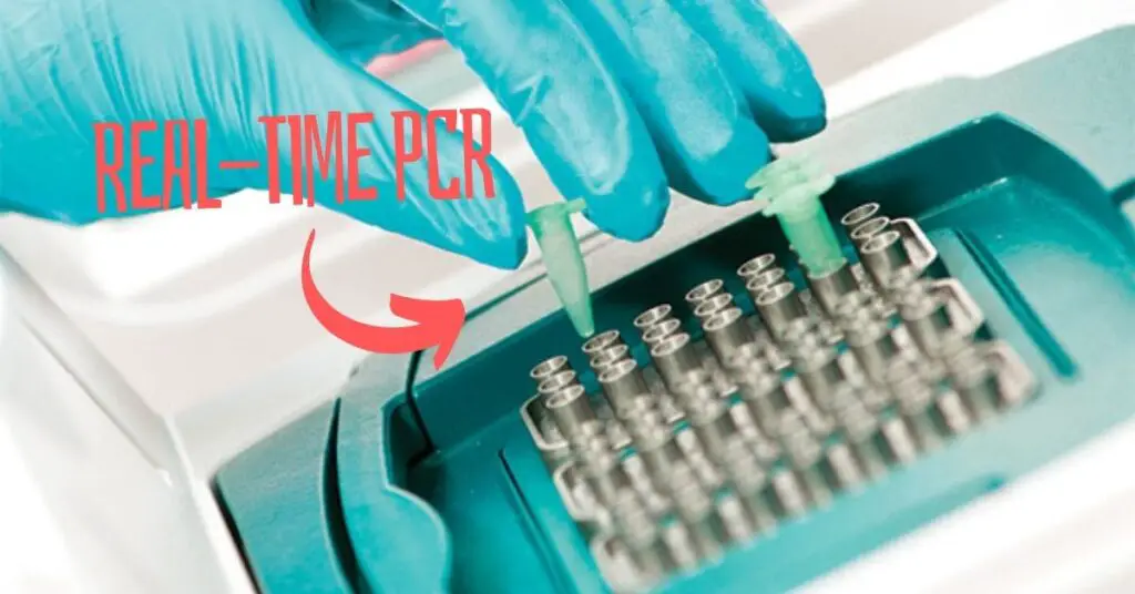 Real-time PCR by genetic education