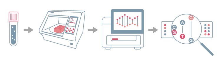 Automated DNA Extraction and Purification.