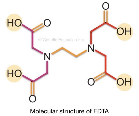 importance-of-tris-edta-te-buffer-in-dna-extraction