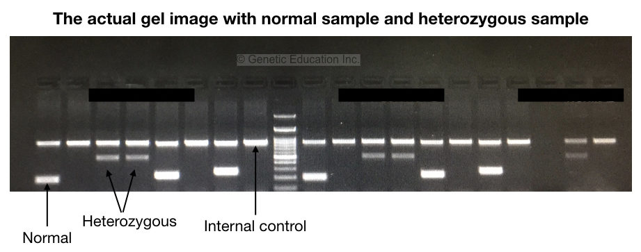 What is ARMS-PCR or allele-specific PCR?