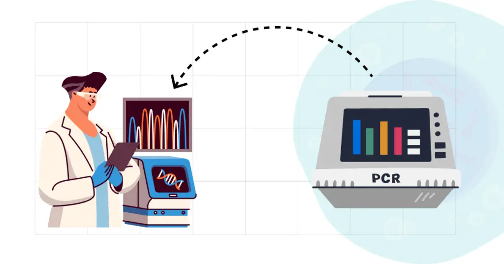 Why is PCR is used in sequencing