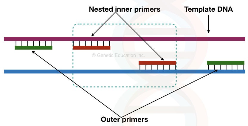 What is nested PCR?