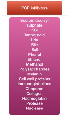 Effect of PCR inhibitors on PCR amplification