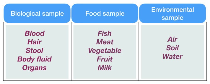 PCR inhibitors present in the sample.