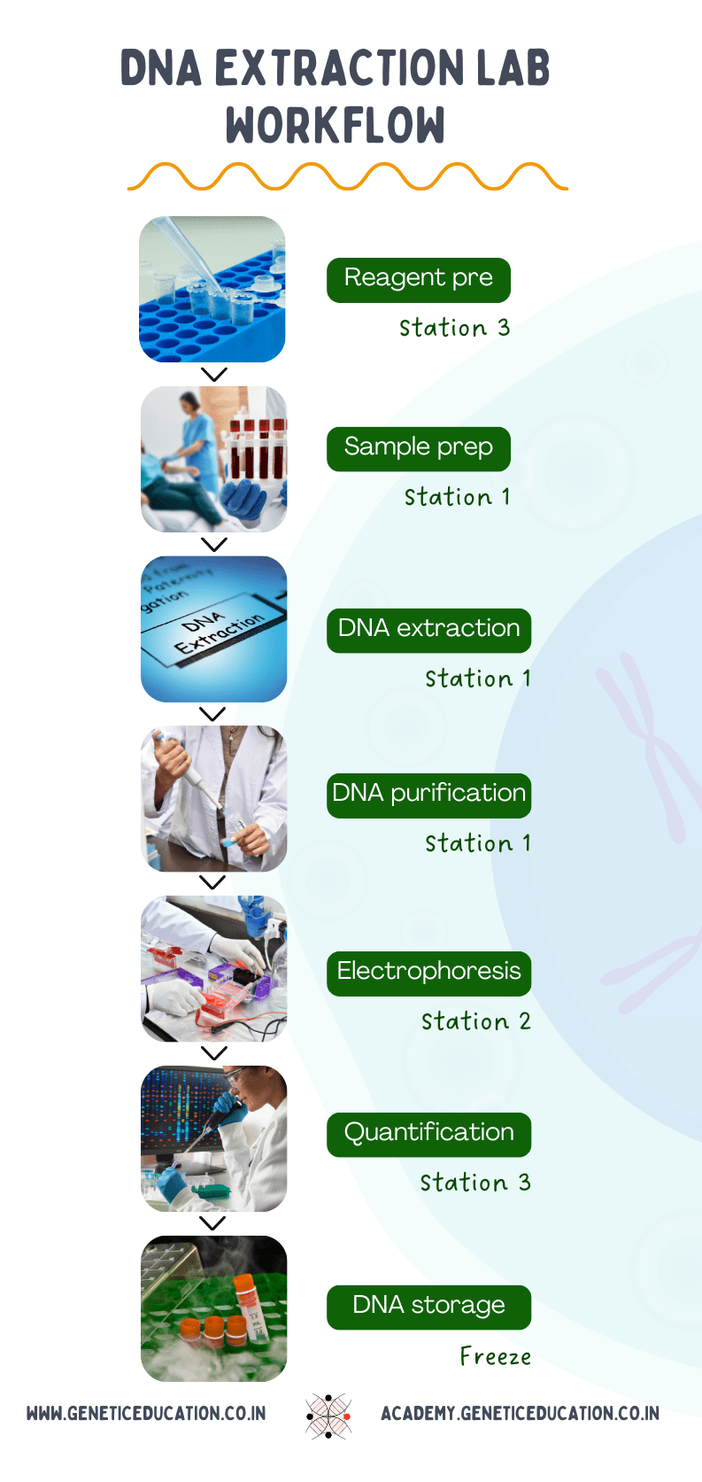 A complete workflow of a DNA extraction lab.