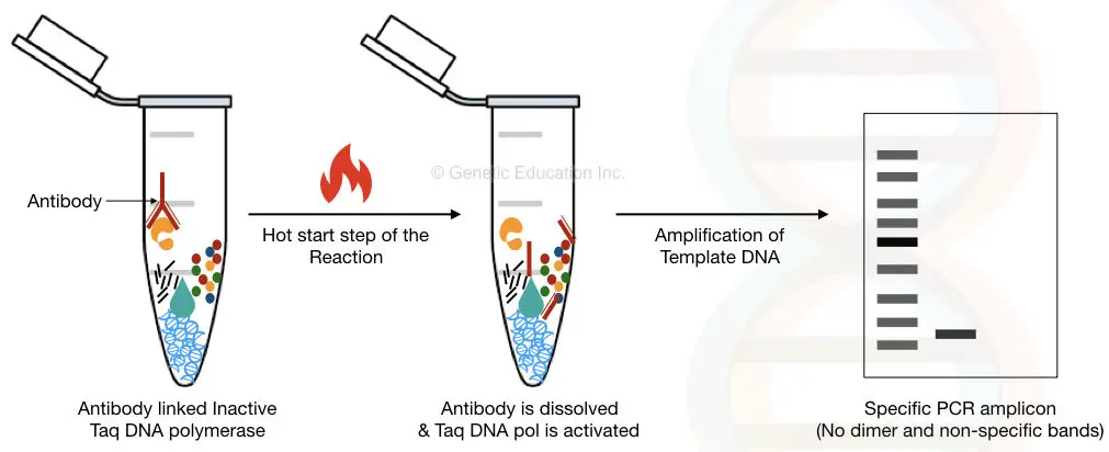 What is a hot start PCR?