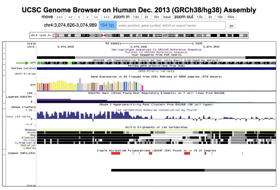 What Is An In Silico PCR How To Perform It What Is An In Silico PCR How To Perform It