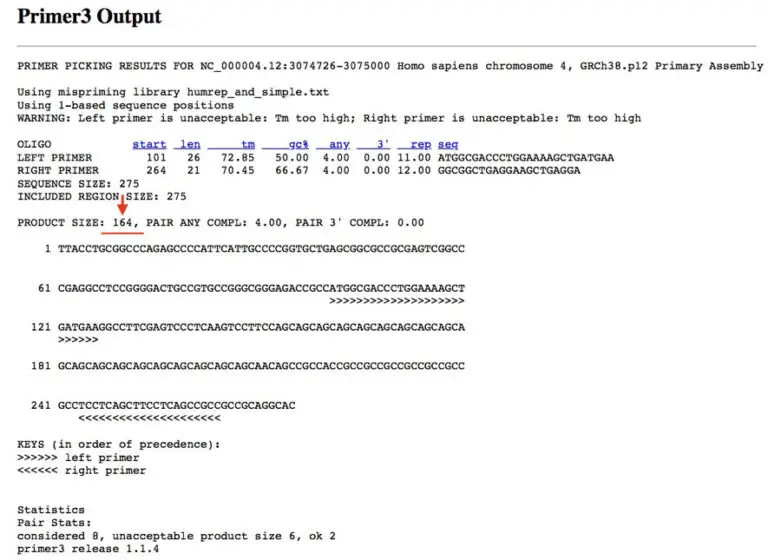 What is an In Silico PCR? How to Perform it?