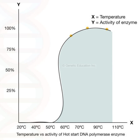 Choosing the right DNA polymerase for your PCR experiment