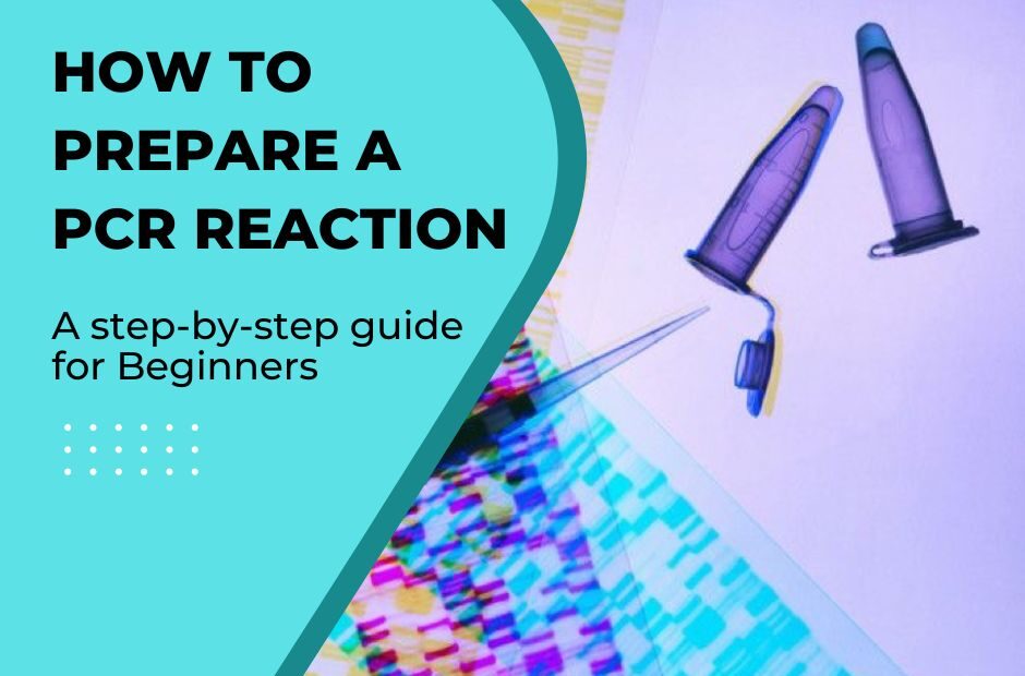 PCR reaction preparation- poster