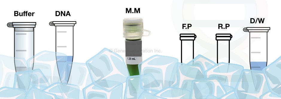 Image of preparing a PCR reaction. 