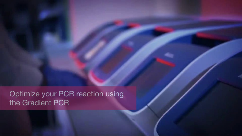 Optimize your PCR reaction using the Gradient PCR