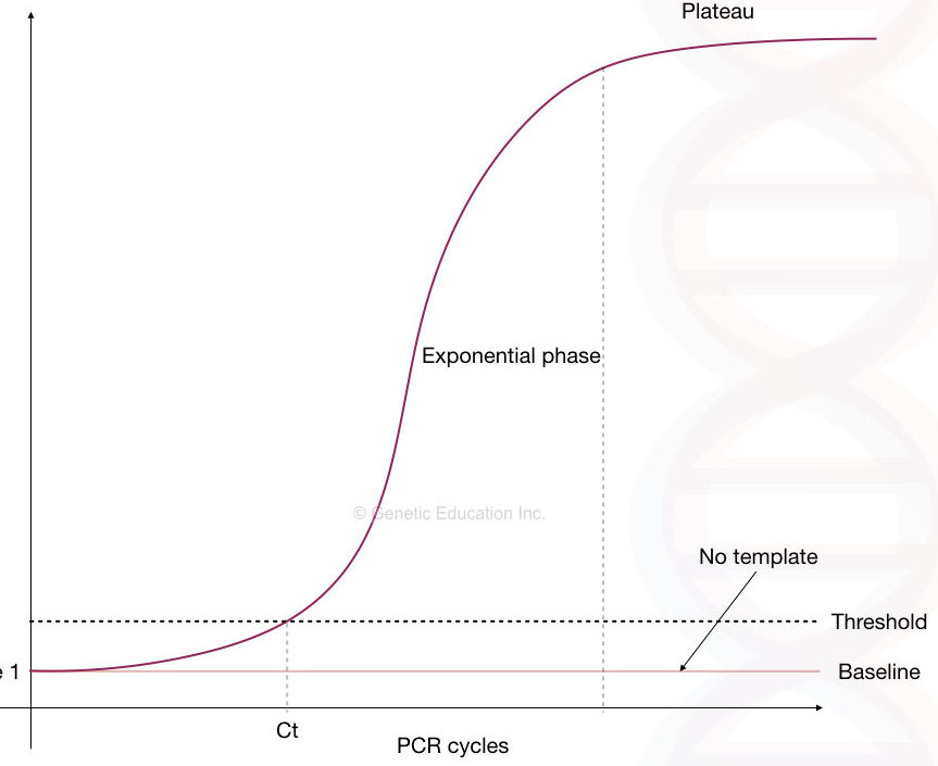 An image of ideal Rt-PCR graph.
