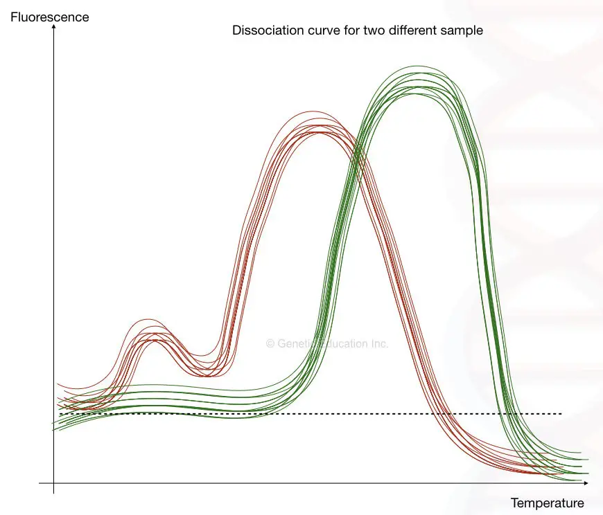Dissociation curves for two different samples.