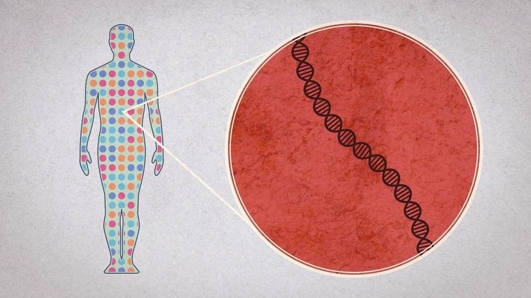 What Is Gene Therapy? and How Does It Work?