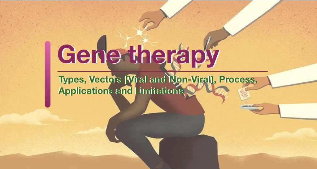 Gene Therapy: Types, Vectors [Viral and Non-Viral], Process, Applications and Limitations