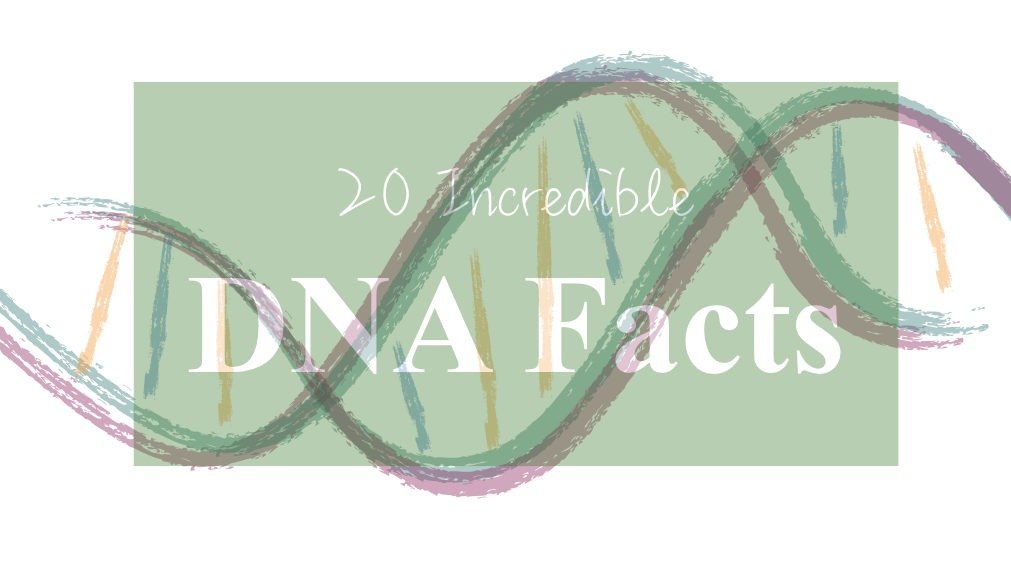genetic education