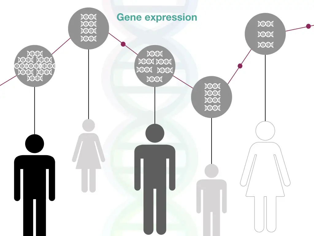 NASA Twins Study, “7% Of Scott DNA Is Not Matching With His Twin Brother Mark”, Is It Possible? 