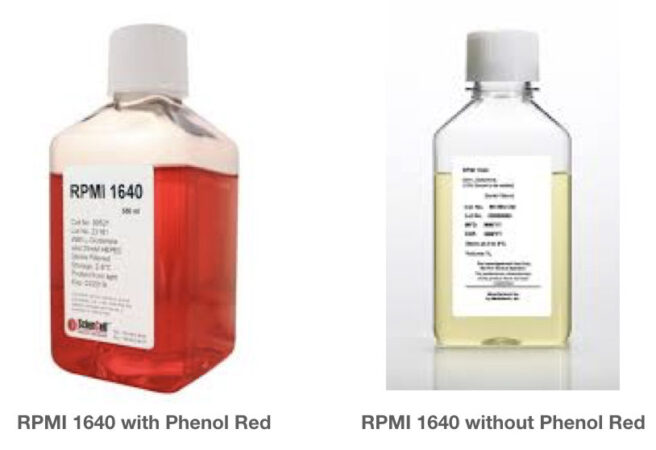 What Is The Role Of RPMI 1640 In Karyotyping?