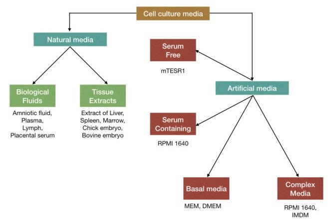 What Is Rpmi What Is The Role Of RPMI 1640 In Karyotyping?