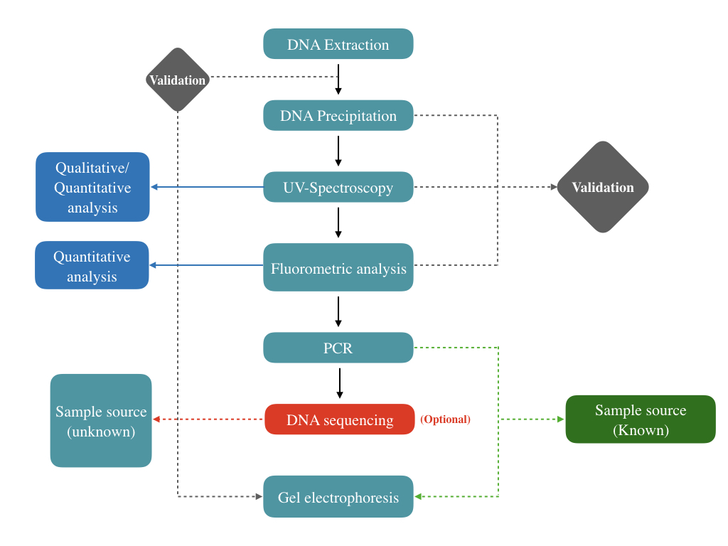 Illustration of the process of DNA detection and source validation.