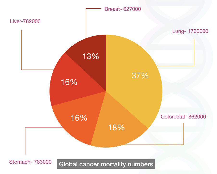 The graphical representation of mortality rate due to cancer globally.