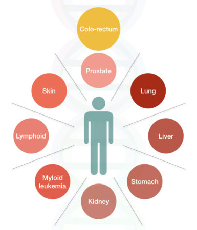 A Brief Introduction To Cancer Genetics