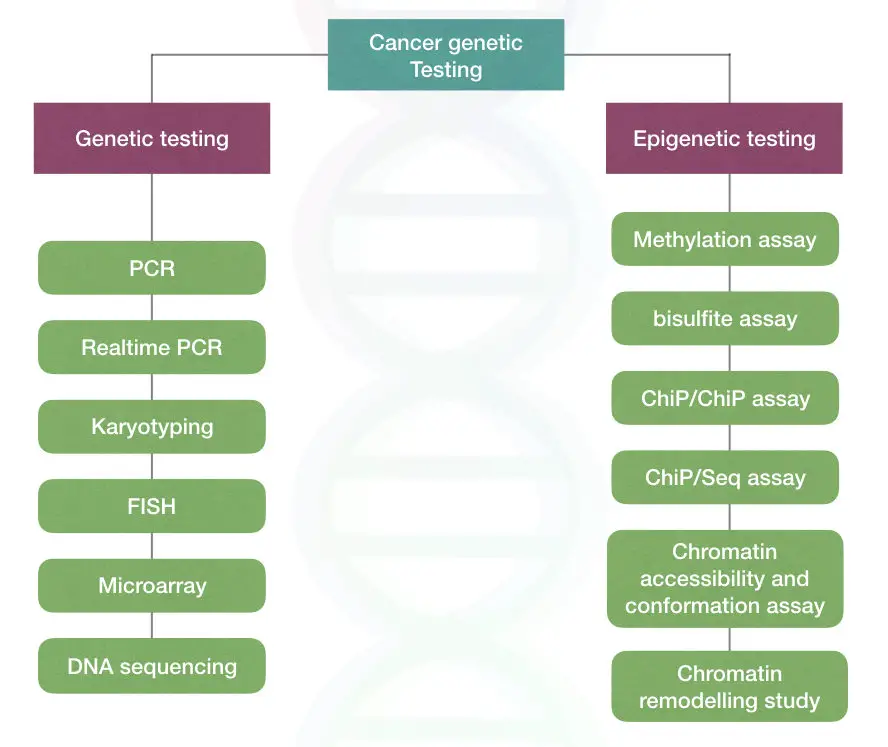 Cancer genetic testing techniques
