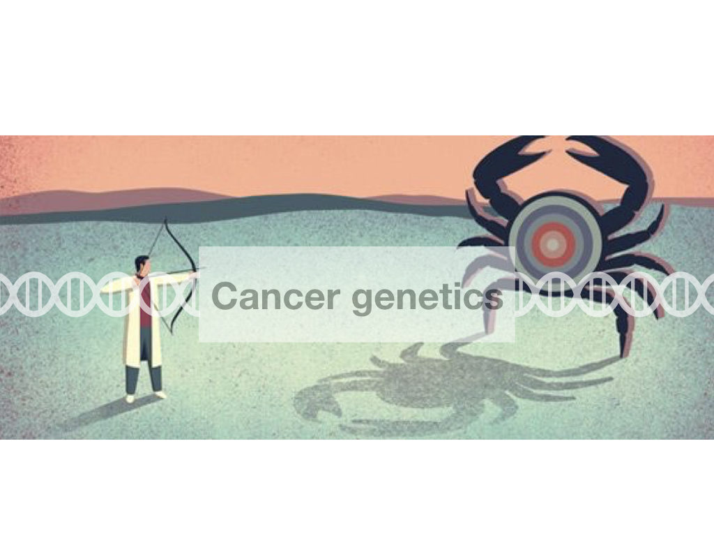 A brief introduction to cancer genetics
