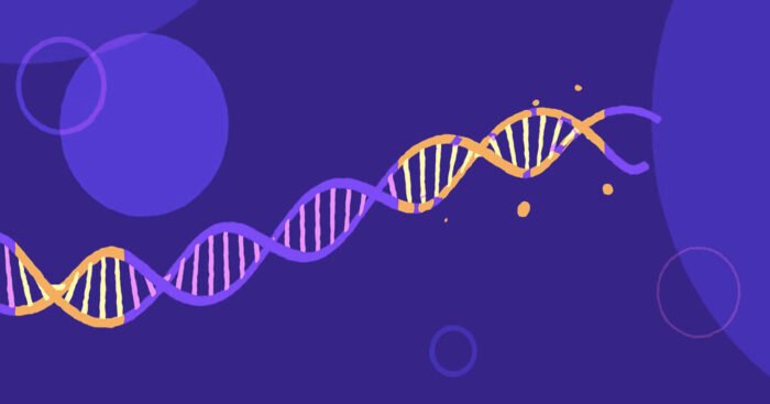 Introduction to Exon and Intron – Genetic Education