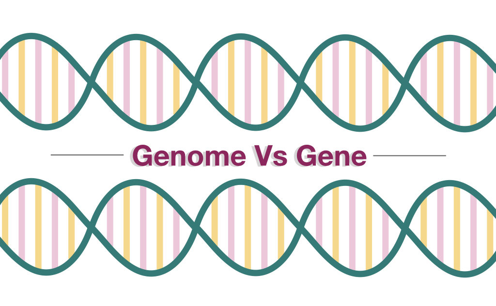 Genome Vs Gene