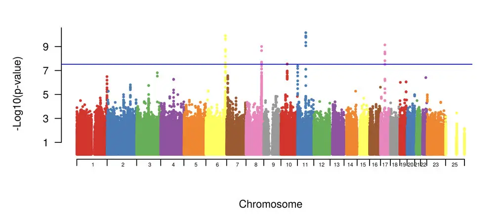 The graphical results of results of the SNP analysis of the whole genome