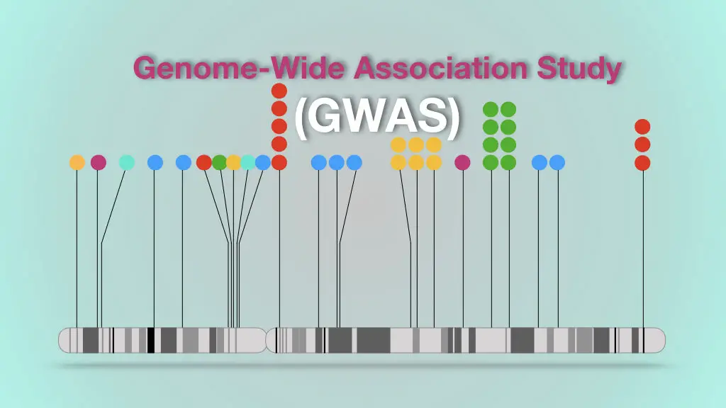 An introduction to genome-wide association study