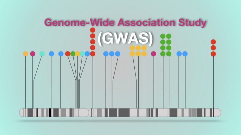 An Introduction To Genome-Wide Association Study (GWAS)