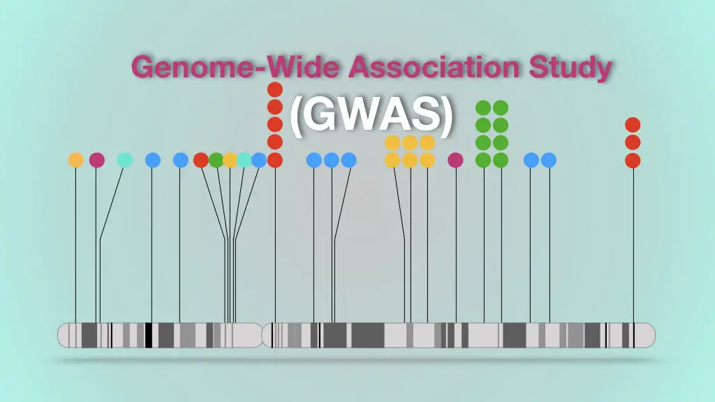 An Introduction To Genome-Wide Association Study (GWAS)